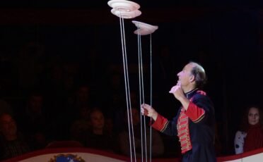 Artiesten en acts